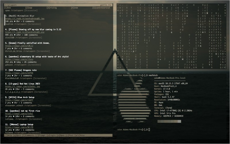 A computer screen with a desktop largely dominated by terminal applications