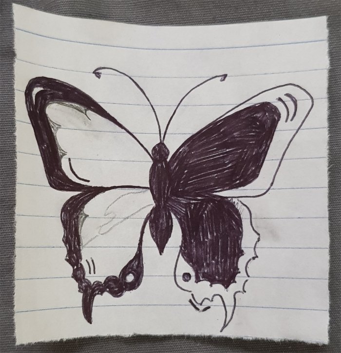 A shaded butterfly using pen. The outer outline of the left wing and the inner right wing are both shaded