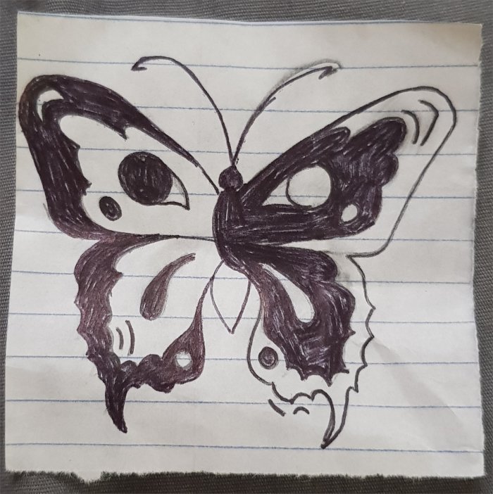 The final butterfly design with a filled left wing outline and filled inner right wing and upper half of the body. Eye-resembling designs are placed on the upper section of each wing, and a curved stroke on the lower section. Dots are place on each wing on the bottom outline and the inner upper wing.