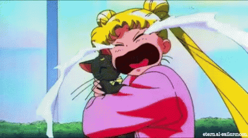 Usagi crying while the other sailors look at her with tired irritation