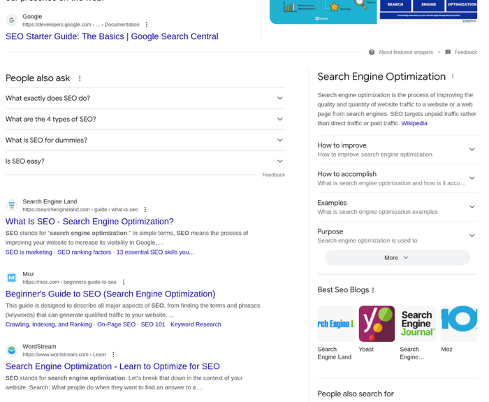 A Google search of the phrase "SEO"