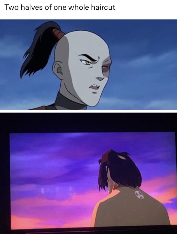 A caption reads 'Two halves on one whole haircut' next to a picture of Zuko from Avatar with a ponytail and Taigen missing a ponytail